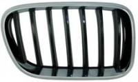 Решетка радиатора BMW X3 (F25) R